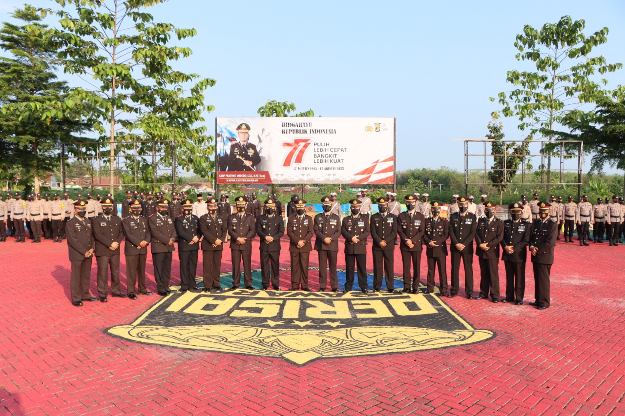 WhatsApp Image 2022-08-17 at 18.22.41